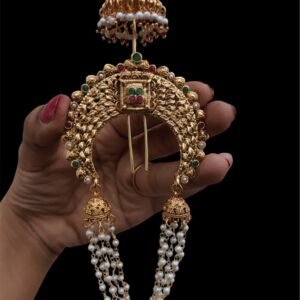 IMG_4829 Hair jada billa Marathi style Multi