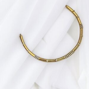 Photoroom_20261029_151234 Hasli plain choker necklace